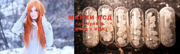 индика Баксан