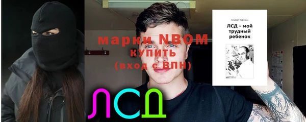 индика Баксан