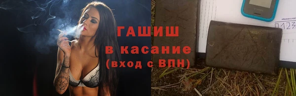 ГАЛЛЮЦИНОГЕННЫЕ ГРИБЫ Белокуриха