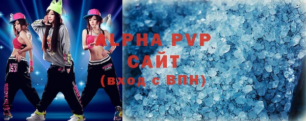 индика Баксан